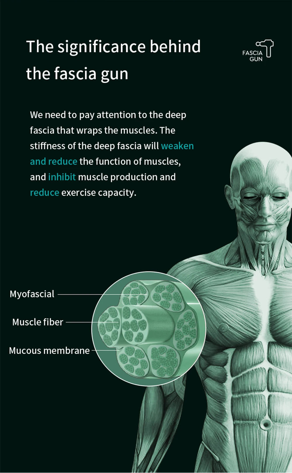 Deep Tissue Massage Gun